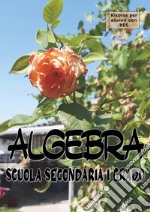 Algebra. Scuola secondaria di I grado. Sostegno