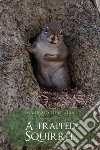 A trapped squirrel libro di Lira Maurizio Luigi