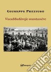 Vucabbulàreje muntananére libro