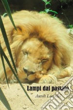 Lampi dal passato libro