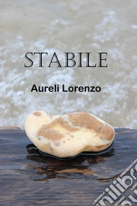 Stabile libro