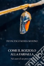 Come il bozzolo alla farfalla libro