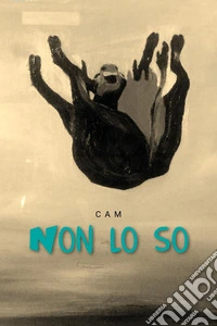 Non lo so