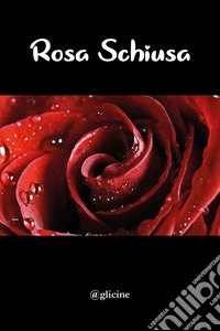 Rosa schiusa