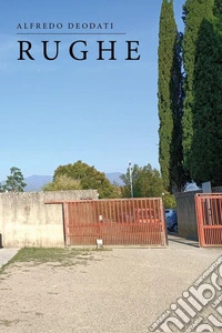 Rughe