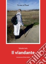 Il viandante libro