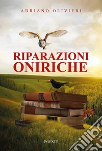 Riparazioni oniriche