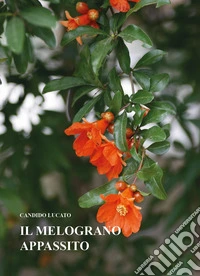 Il melograno appassito
