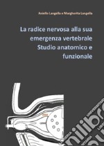 La radice nervosa alla sua emergenza vertebrale. Studio anatomico e funzionale