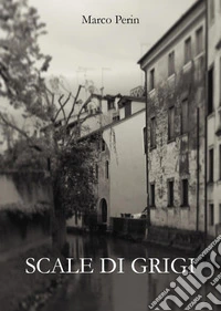 Scale di grigi