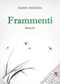 Frammenti