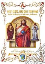 Gesù Cristo, vero Dio e vero uomo libro