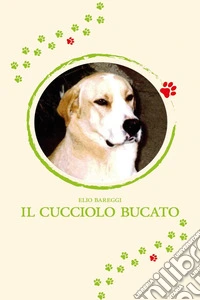 Il cucciolo bucato