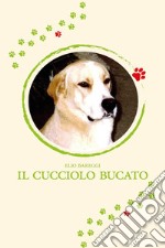 Il cucciolo bucato