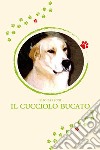 Il cucciolo bucato libro