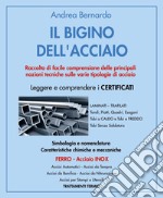 Il bigino dell'acciaio. Raccolta di facile comprensione delle principali nozioni tecniche sulle varie tipologie di acciaio libro