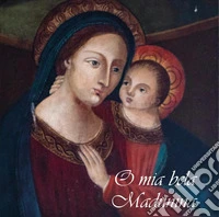 O mia bela madunina. Maria lungo le strade dei viandanti libro