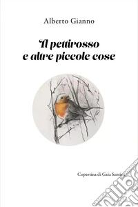 Il pettirosso e altre piccole cose