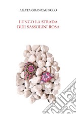 Lungo la strada due sassolini rosa libro