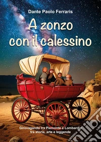 A zonzo con il calessino libro