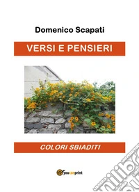 Versi e pensieri. Colori sbiaditi libro