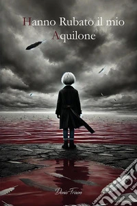 Hanno rubato il mio aquilone libro