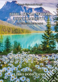 Bibbia senza sforzo con commento. La bellezza dei salmi. Vol. 1 libro