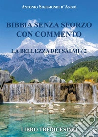 Bibbia senza sforzo con commento. La bellezza dei salmi. Vol. 2 libro