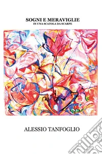 Sogni e meraviglie in una scatola da scarpe libro