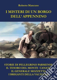 I misteri di un borgo dell'Appennino libro