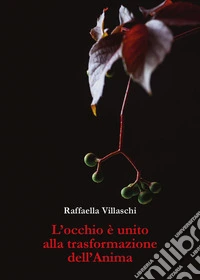 L'occhio è unito alla trasformazione dell'anima libro