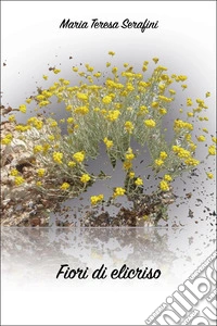 Fiori di elicriso libro