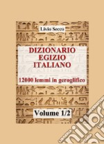 Dizionario egizio-italiano. 12000 lemmi in geroglifico. Vol. 1 libro