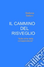 Il cammino del risveglio. Sulle orme della consapevolezza libro