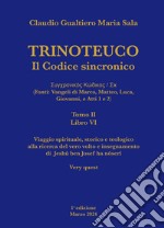 Trinoteuco. Il Codice Sincronico Kodikos Sugkhronikes - Skh (Fonti: Vangeli di Marco, Matteo, Luca, Giovanni, e Atti 1 e 2). Vol. 6/2