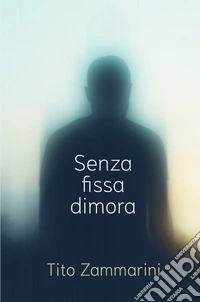 Senza fissa dimora libro
