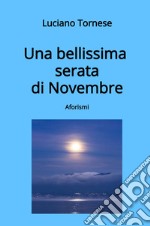 Una bellissima serata di novembre libro