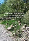 Cammini di Santiago. Breve storia sui cammini di Santiago e su come affrontarli libro