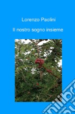 Il nostro sogno insieme libro