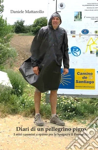 Diari di un pellegrino pigro. I miei cammini a spasso per la Spagna e il Portogallo libro