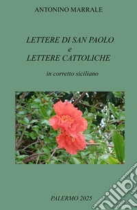 Lettere di San Paolo e lettere cattoliche in corretto siciliano libro