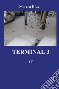 Terminal 3 libro