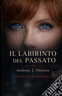 Il labirinto del passato. Rinascita e vendetta libro