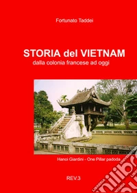 Storia del Vietnam. Dalla colonia francese ad oggi libro