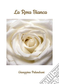 La rosa bianca