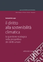Il diritto alla sostenibilità climatica libro