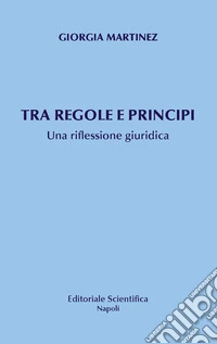 Tra principi e regole. Una riflessione giuridica libro