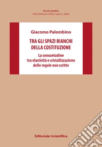 Tra gli spazi bianchi della Costituzione. La consuetudine tra elasticità e cristallizzazione delle regole non scritte libro