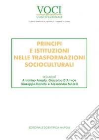 Principi e istituzioni nelle trasformazioni socioculturali libro