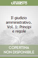 Il giudizio amministrativo. Vol. 1: Principi e regole libro